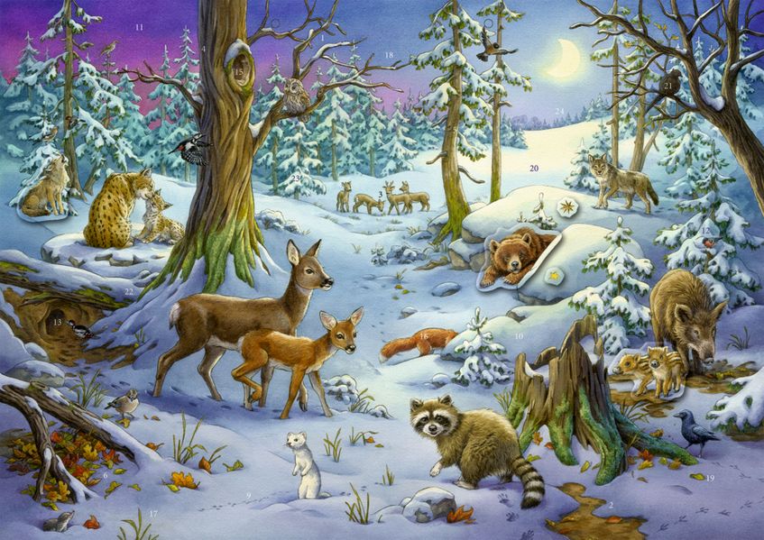 Coppenrath - Tiere im Winterwald Sticker-Adventskalender