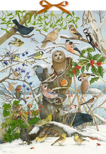 Sound-Adventskalender - Unsere Vögel im Winter