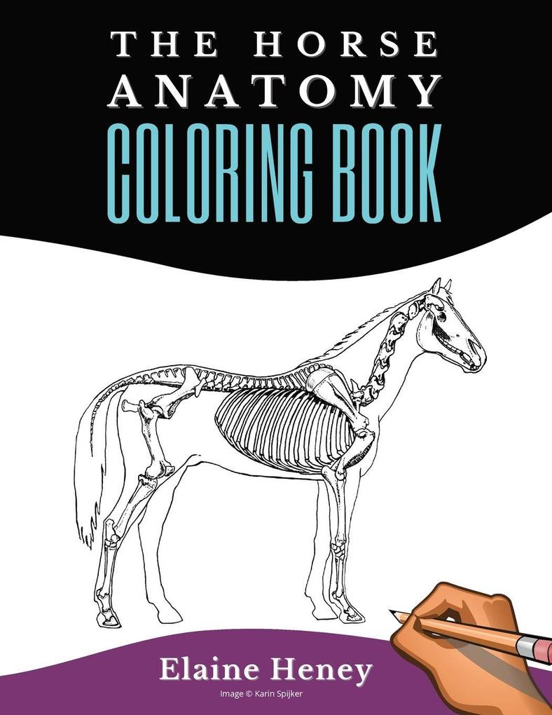 Horse Anatomy Coloring Book For Adults - Self Assessment Equine Coloring Workbook