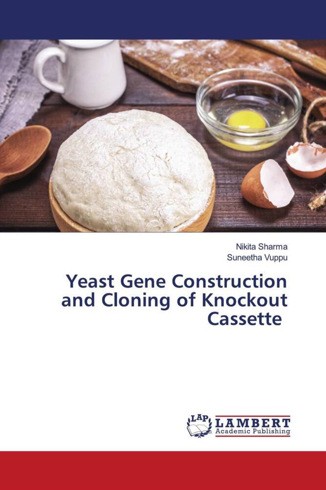Yeast Gene Construction and Cloning of Knockout Cassette