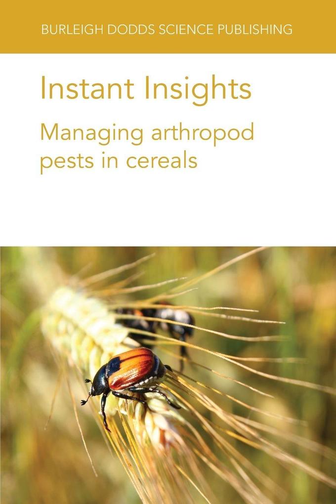 Instant Insights