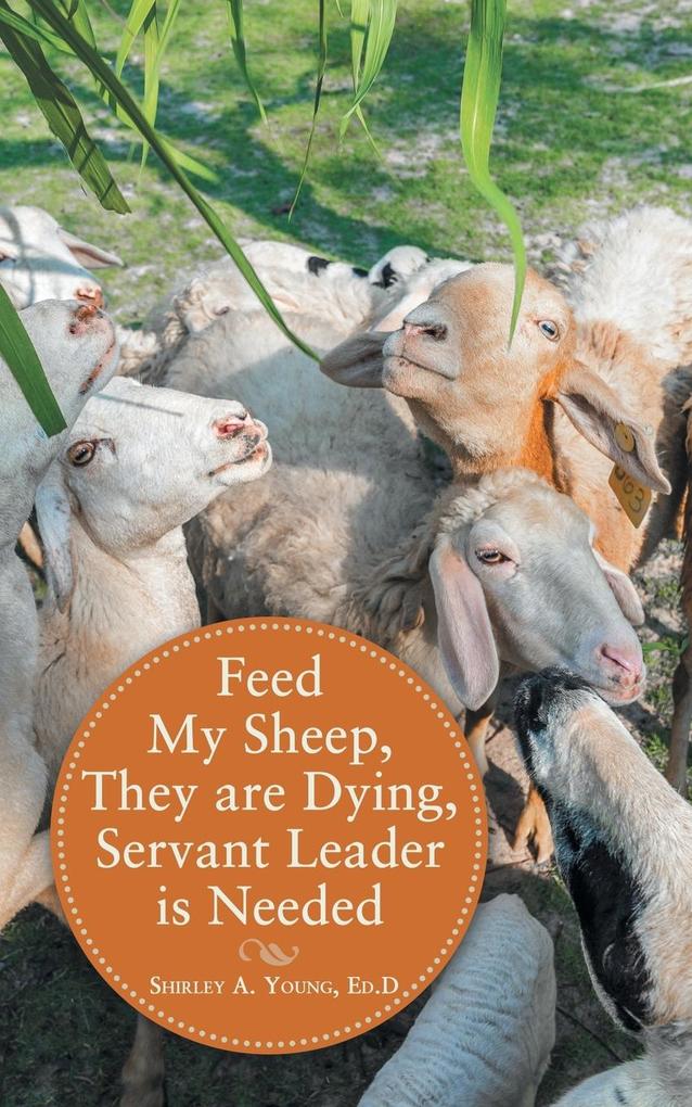 Feed My Sheep They Are Dying Servant Leader Is Needed