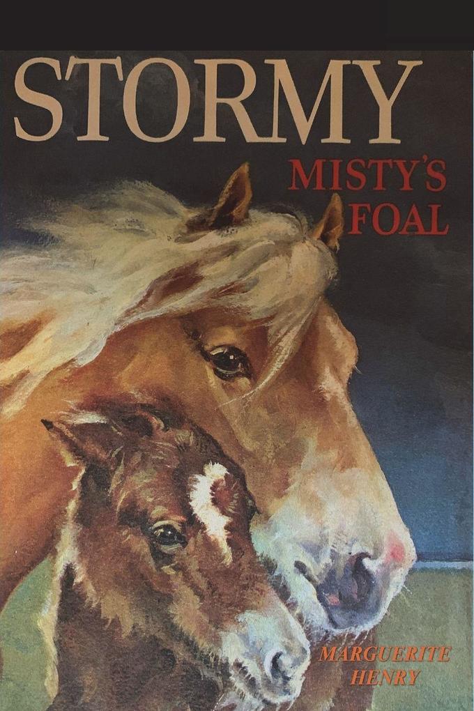 Stormy Misty's Foal