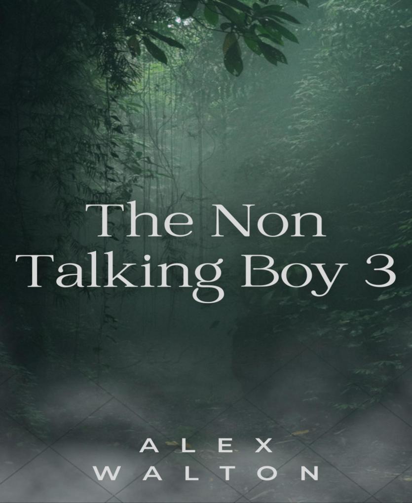 The Non Talking Boy 3