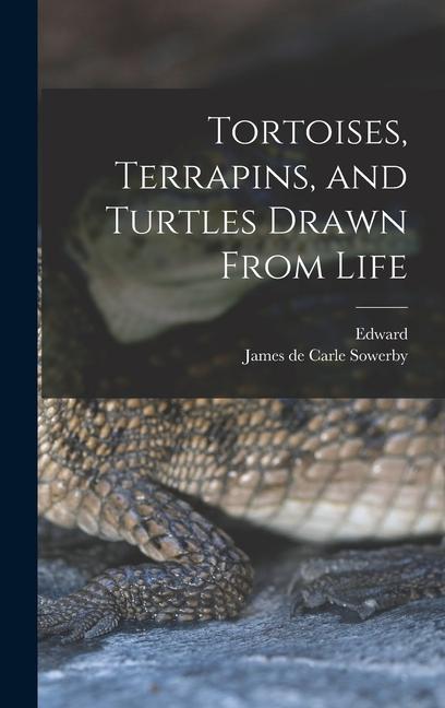 Tortoises Terrapins and Turtles Drawn From Life