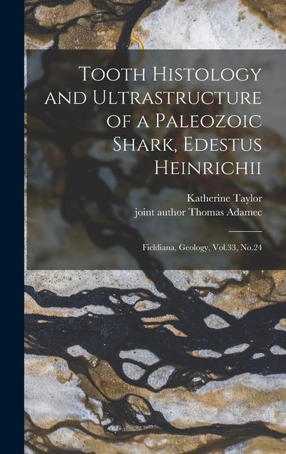 Tooth Histology and Ultrastructure of a Paleozoic Shark Edestus Heinrichii