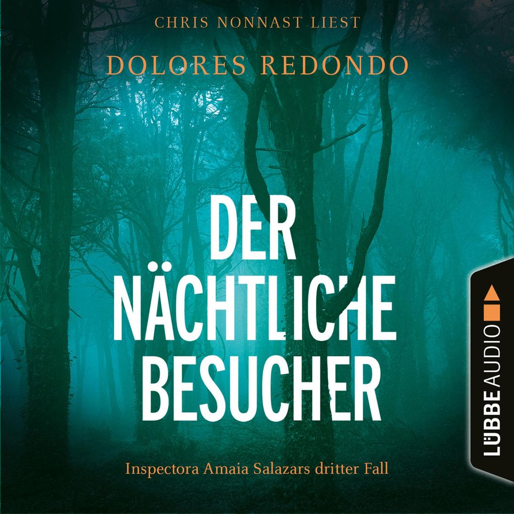 Der nächtliche Besucher - Inspectora Amaia Salazars dritter Fall - Die Baztán-Trilogie Teil 3