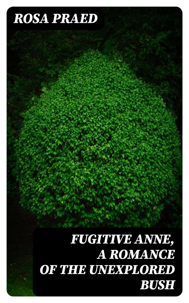 Fugitive Anne A Romance of the Unexplored Bush