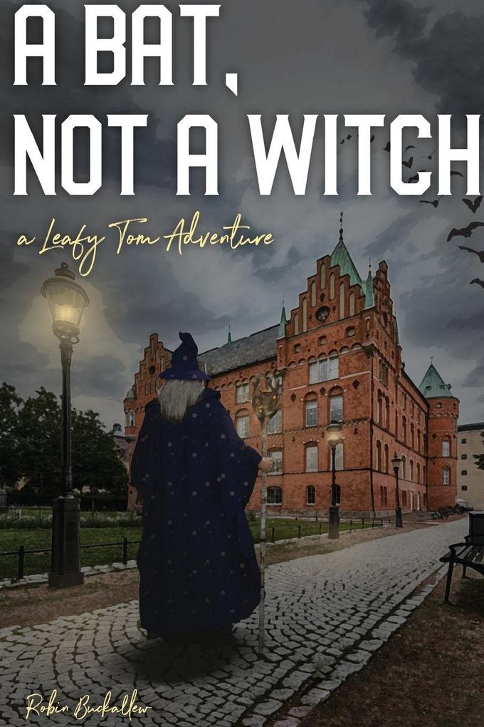 A Bat Not a Witch