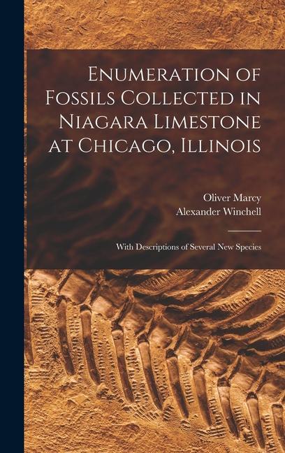 Enumeration of Fossils Collected in Niagara Limestone at Chicago Illinois; With Descriptions of Several new Species