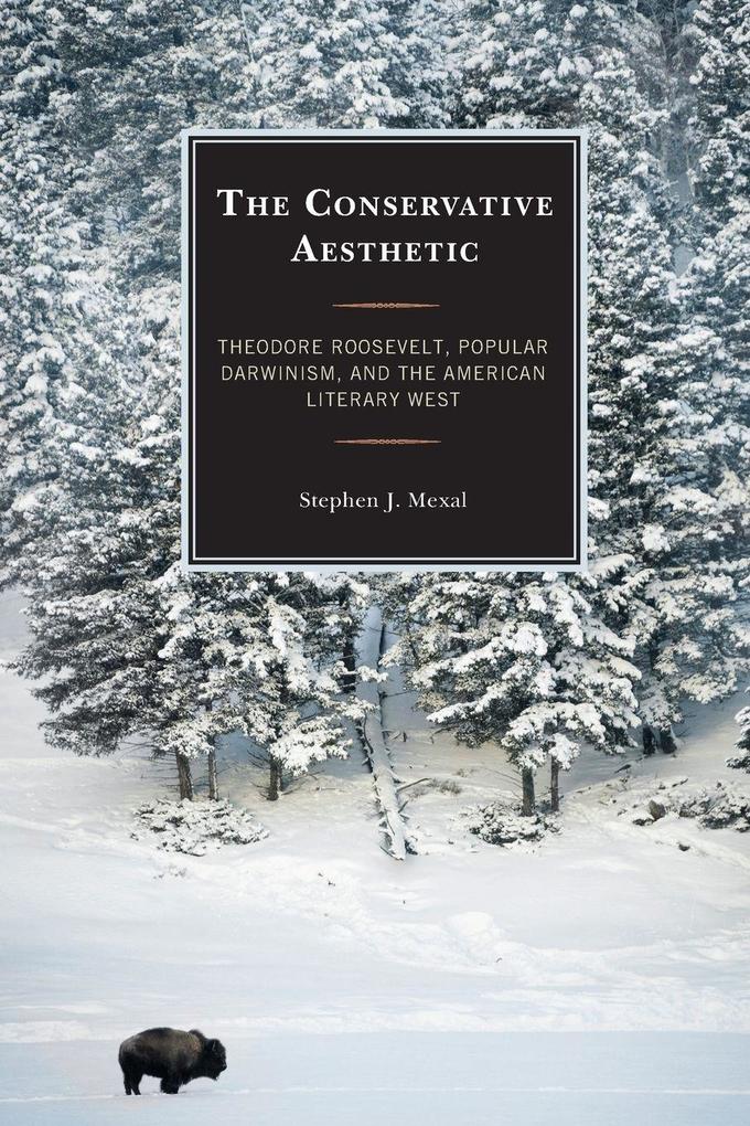 Conservative Aesthetic