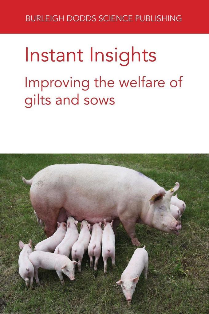 Instant Insights