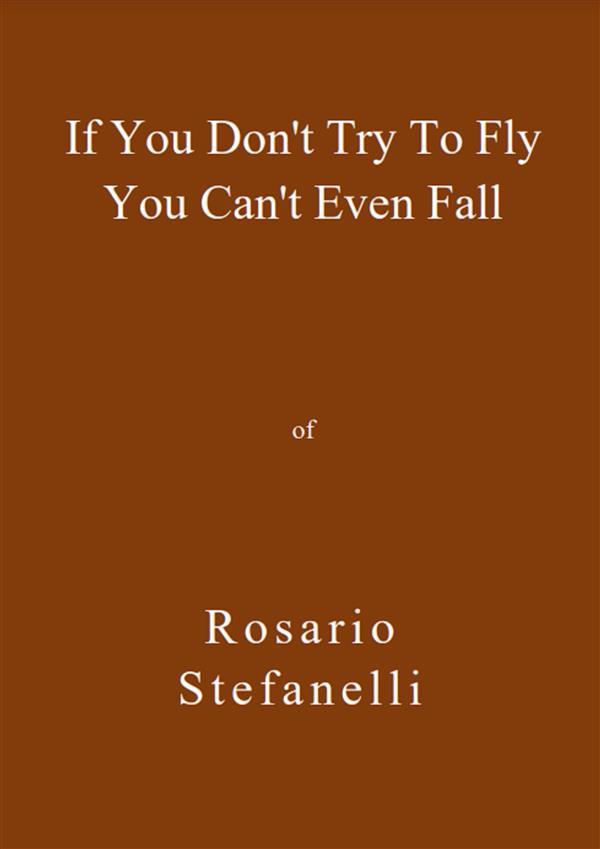 If You Don‘t Try To Fly You Can‘t Even Fall
