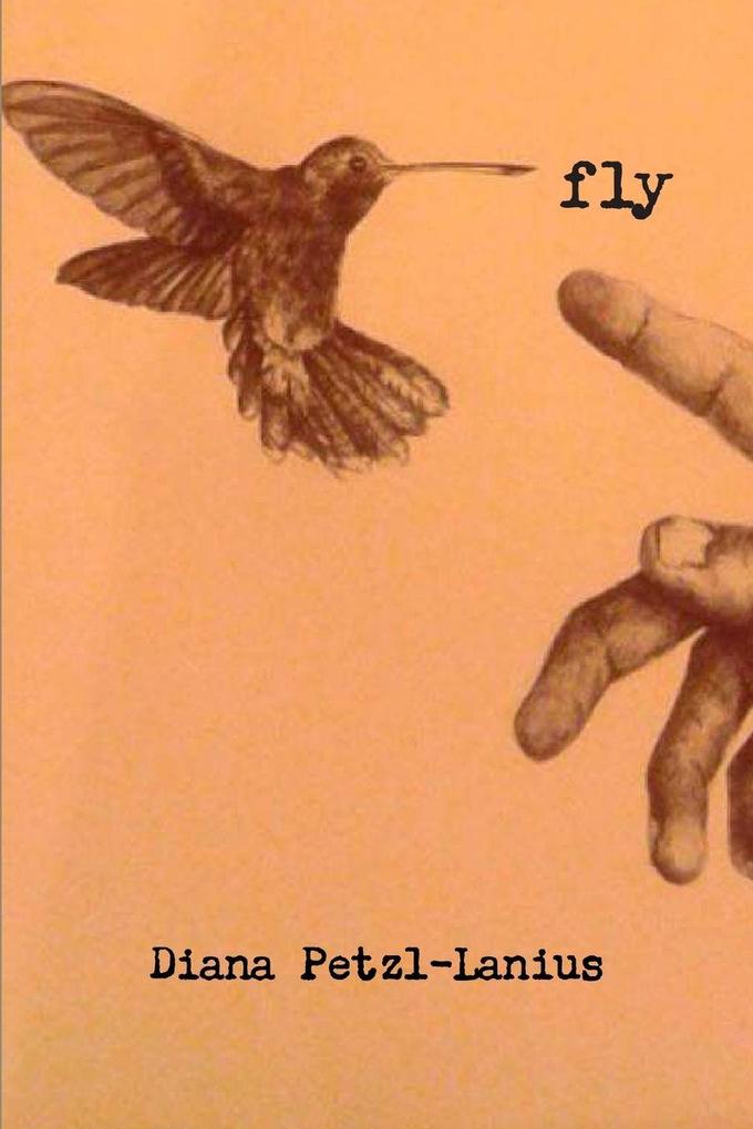fly