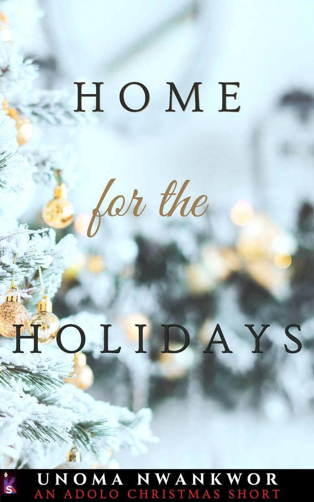 Home For the Holidays: An Adolo Christmas Short (An Invisible Shackles Novel Book)