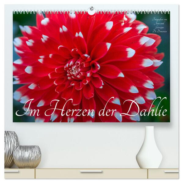 Im Herzen der Dahlie (hochwertiger Premium Wandkalender 2024 DIN A2 quer) Kunstdruck in Hochglanz