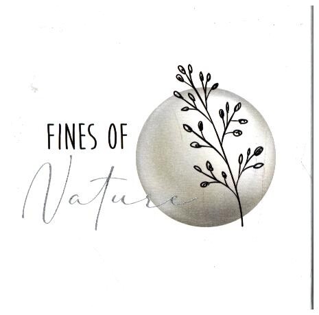 Geschenkset - Fines of nature - versilbert - Perle