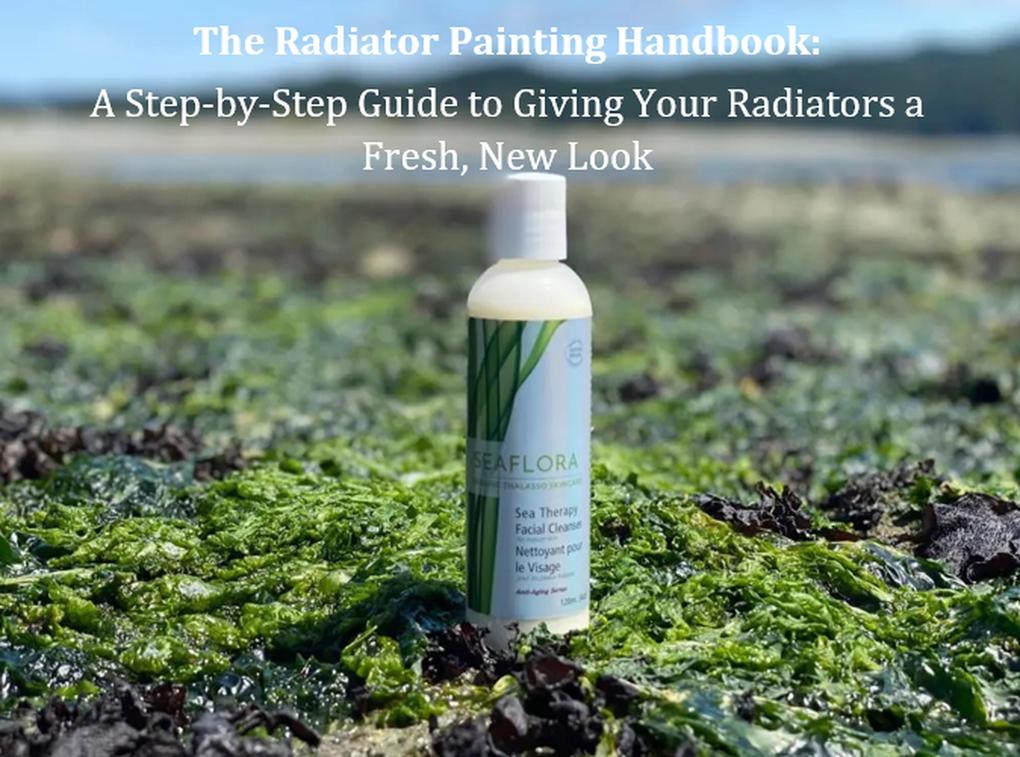 Seaweed Skincare Secrets: A Complete Guide to Radiant Youthful Skin (Help Yourself! #5)