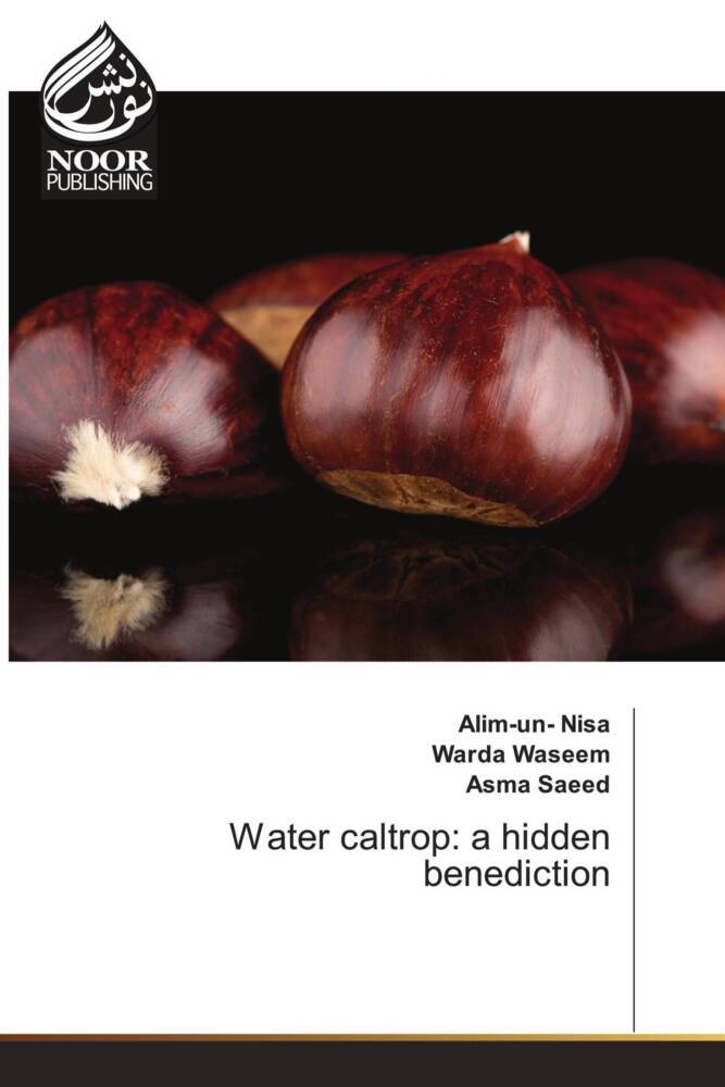 Water caltrop: a hidden benediction