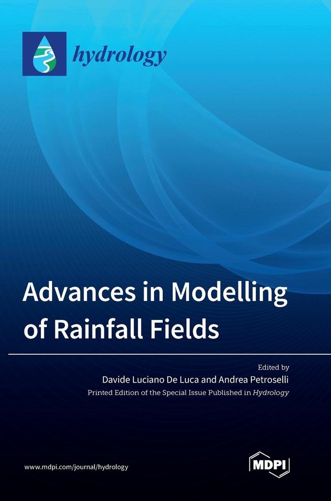 Advances in Modelling of Rainfall Fields