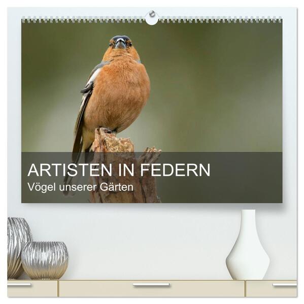 Artisten in Federn - Vögel unserer Gärten (hochwertiger Premium Wandkalender 2024 DIN A2 quer) Kunstdruck in Hochglanz