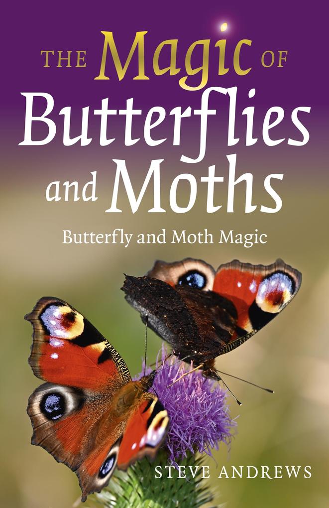 Magic of Butterflies and Moths
