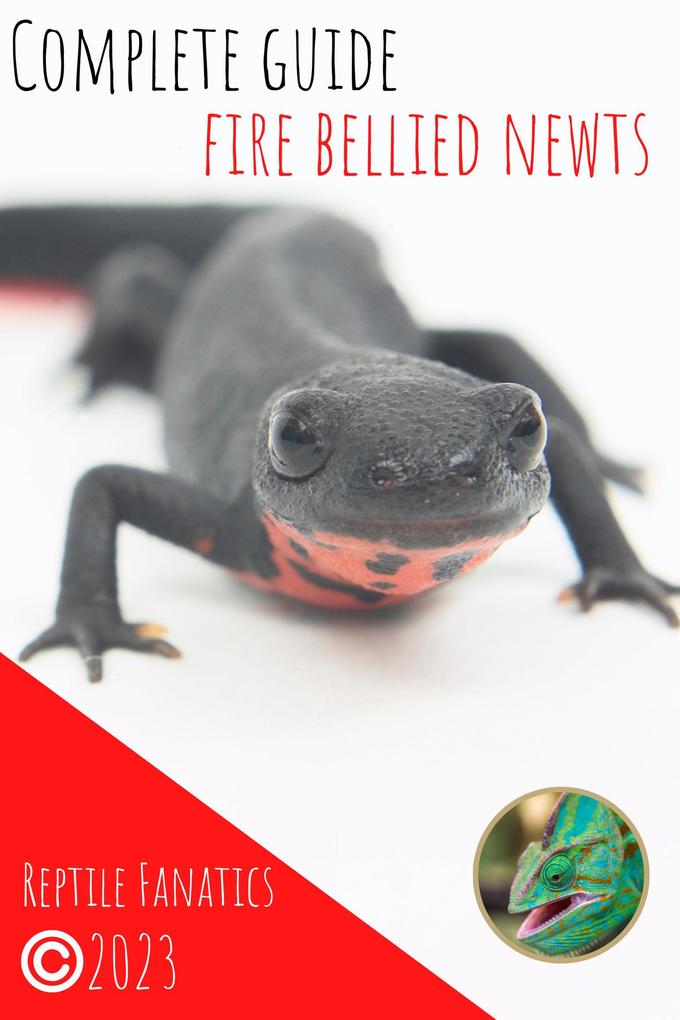 Complete Guide Fire Bellied Newts