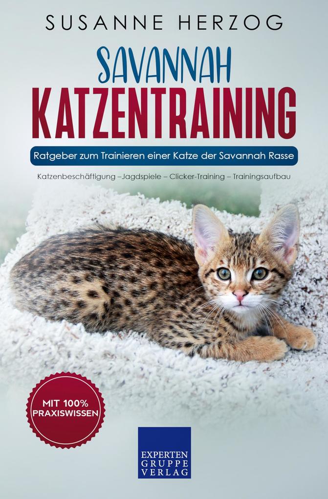 Savannah Katzentraining - Ratgeber zum Trainieren einer Katze der Savannah Rasse