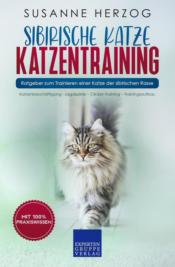 Sibirische Katze Katzentraining - Ratgeber zum Trainieren einer Katze der sibirischen Rasse