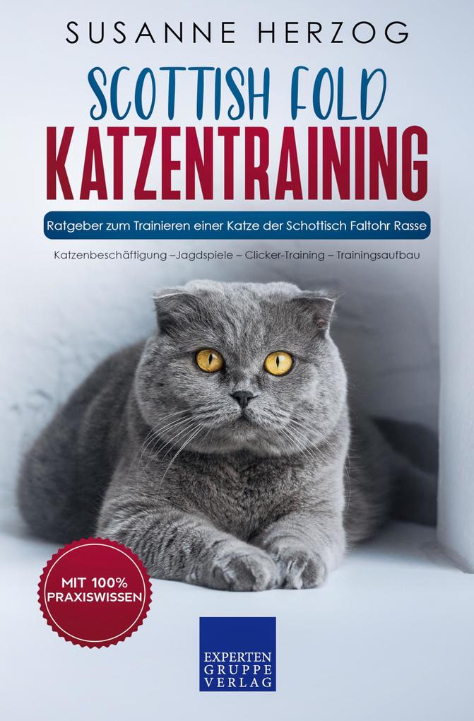 Scottish Fold Katzentraining - Ratgeber zum Trainieren einer Katze der Schottisch Faltohr Rasse