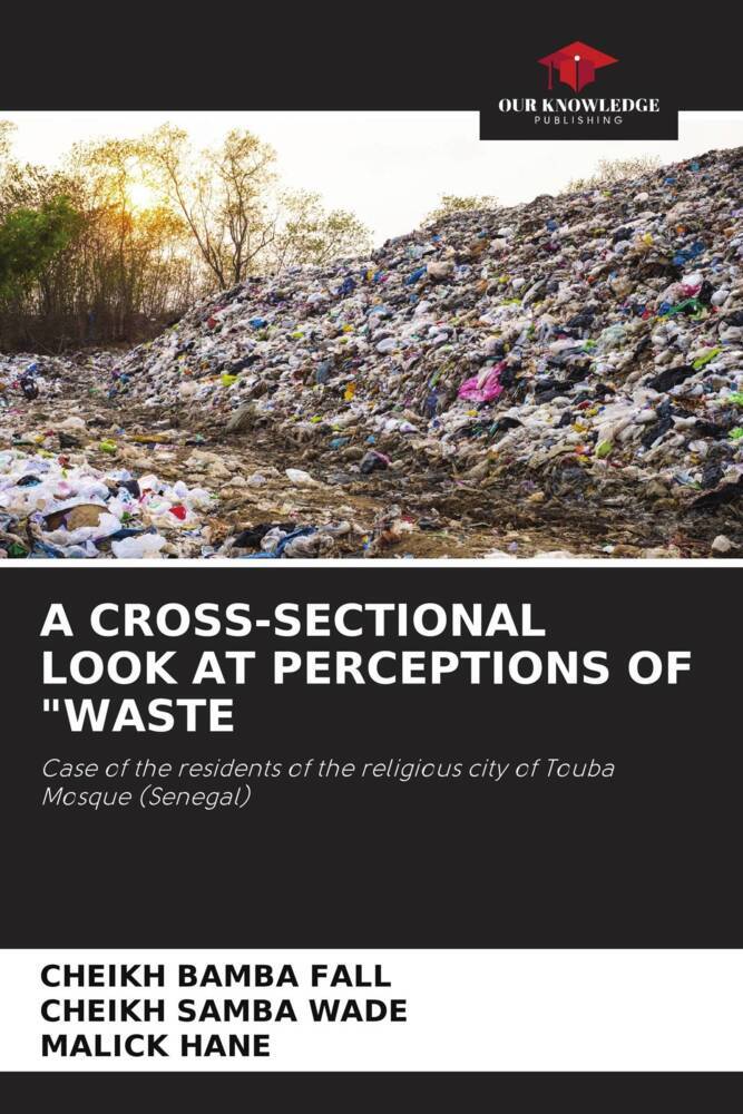 A CROSS-SECTIONAL LOOK AT PERCEPTIONS OF WASTE