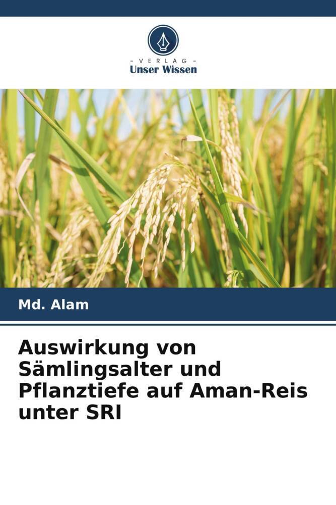 Auswirkung von Sämlingsalter und Pflanztiefe auf Aman-Reis unter SRI
