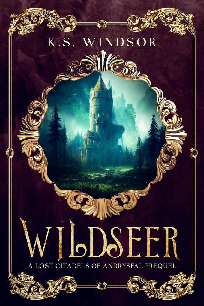 Wildseer (Lost Citadels of Andrysfal #0.5)