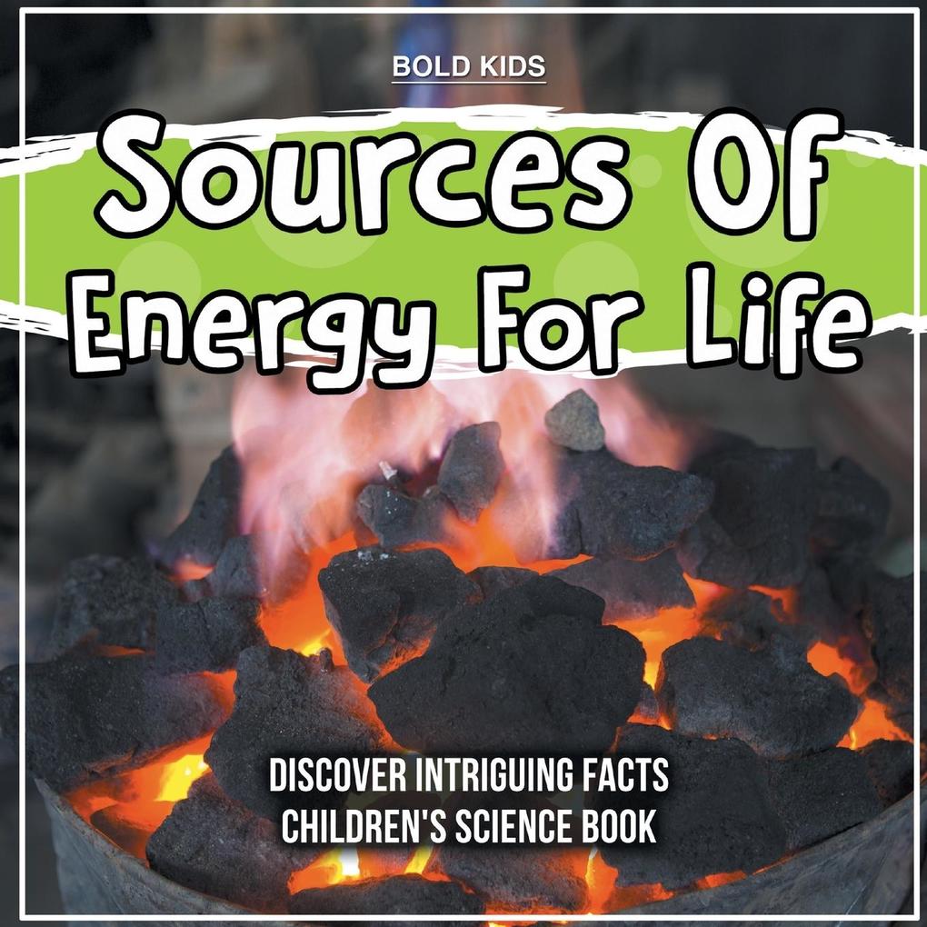 Sources Of Energy For Life 2nd Grade Children‘s Science Book