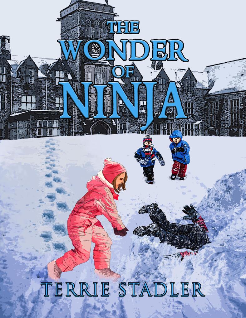 The Wonder of Ninja
