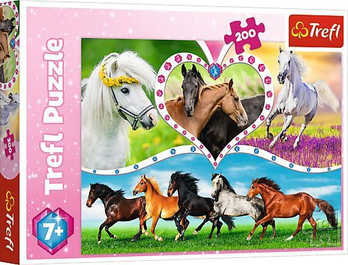 Puzzle 200 Schöne Pferde