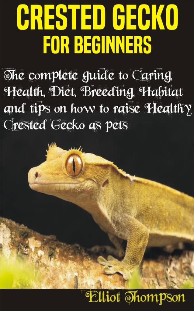 Crested Gecko for Beginners