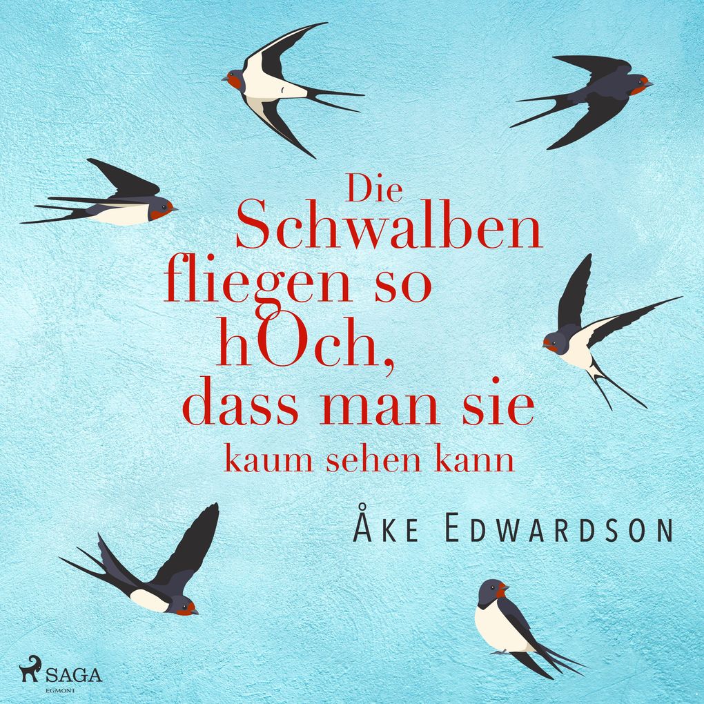 Die Schwalben fliegen so hoch dass man sie kaum sehen kann
