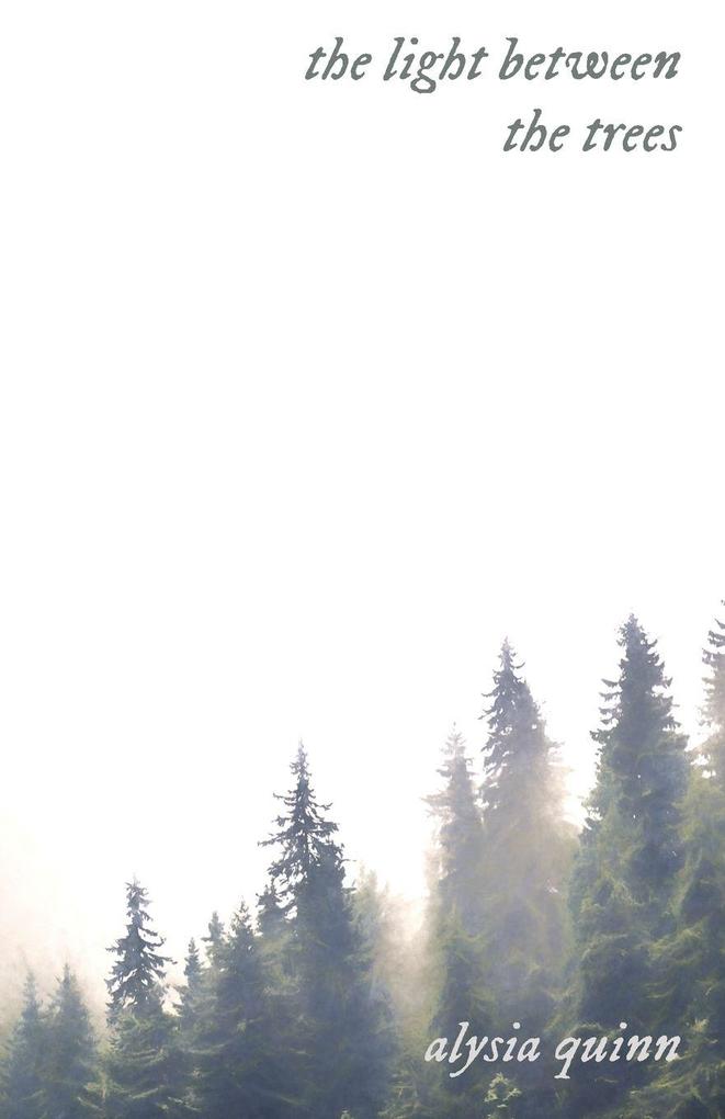 the light between the trees