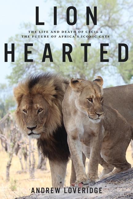 Lion Hearted: The Life and Death of Cecil & the Future of Africa‘s Iconic Cats