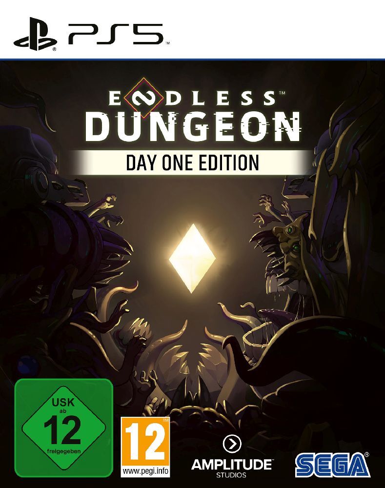 Endless Dungeon PS5 1 PS5-Blu-Ray-Disc (Day One Edition)
