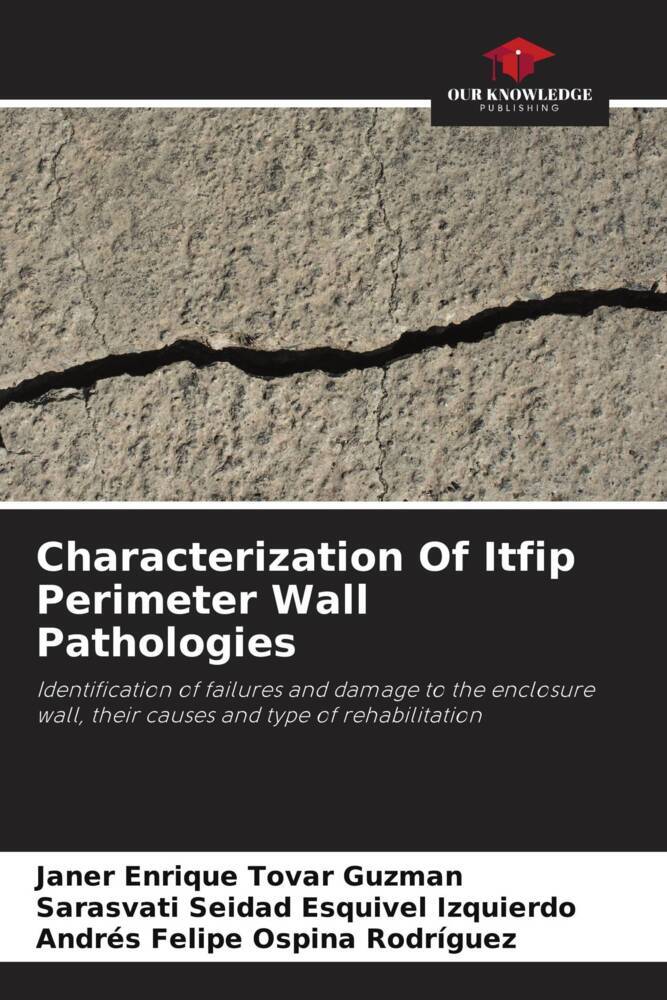Characterization Of Itfip Perimeter Wall Pathologies
