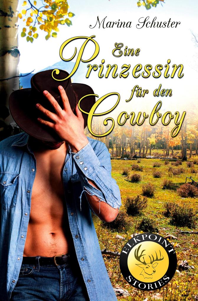 Eine Prinzessin für den Cowboy