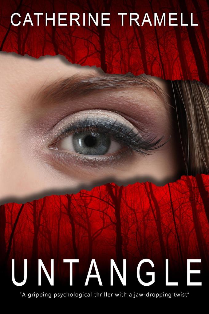 Untangle : a Twisted Psychological Thriller That Will Keep You Guessing (Paradigm #2)