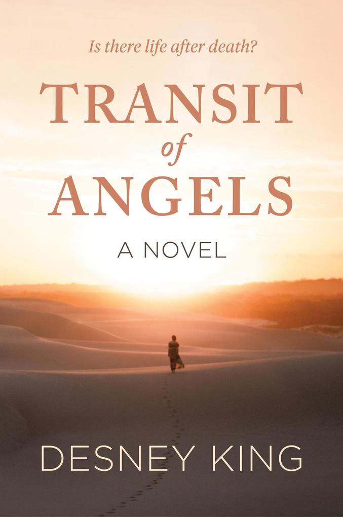 Transit of Angels: A Novel