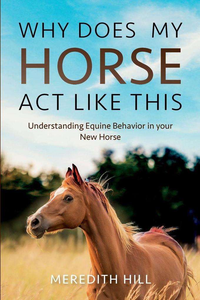 Why Does My Horse Act Like This?