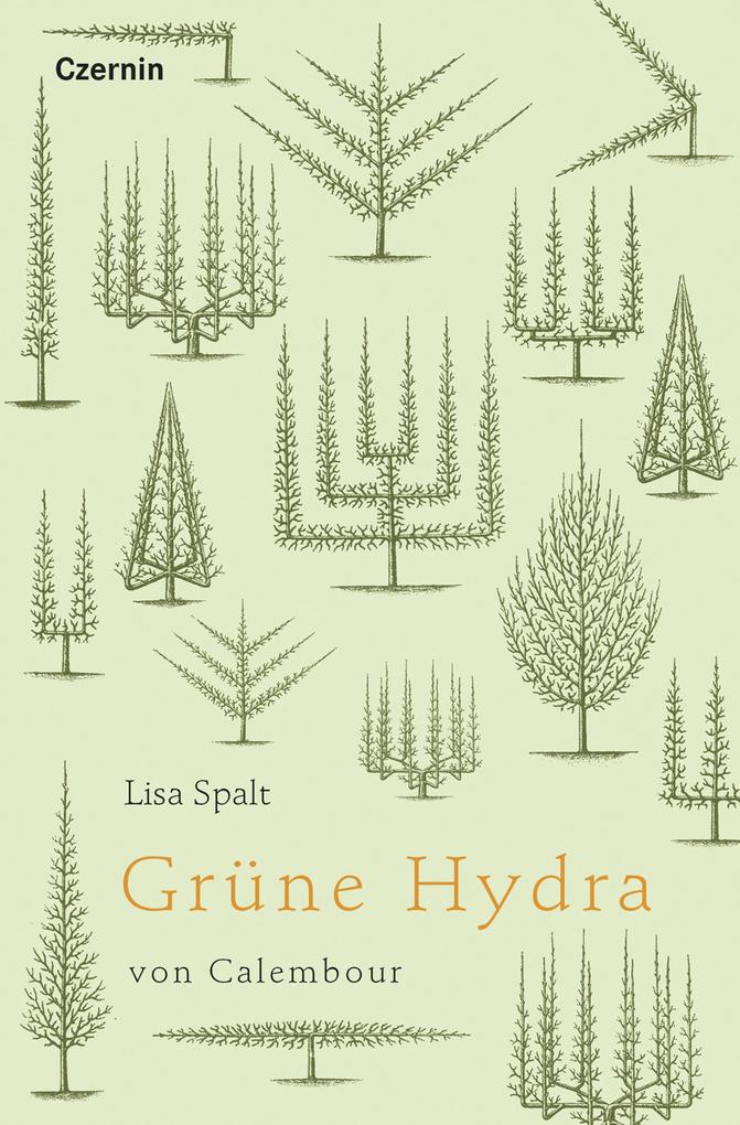 Grune Hydra von Calembour