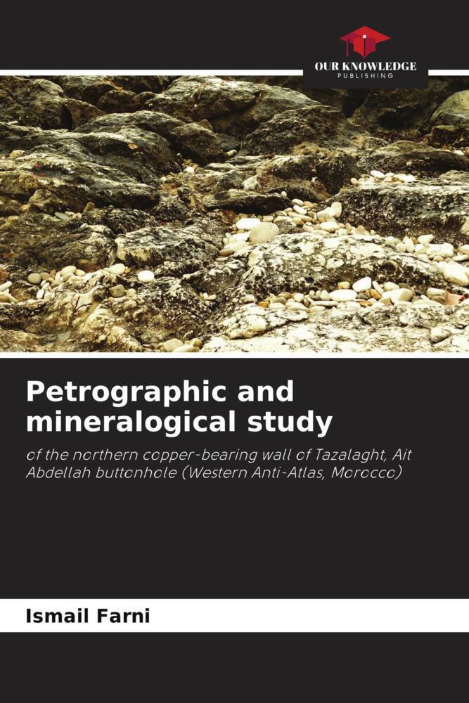 Petrographic and mineralogical study