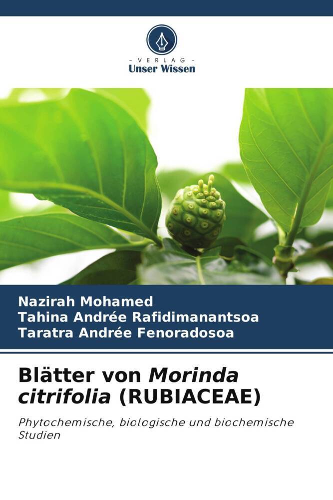 Blätter von Morinda citrifolia (RUBIACEAE)