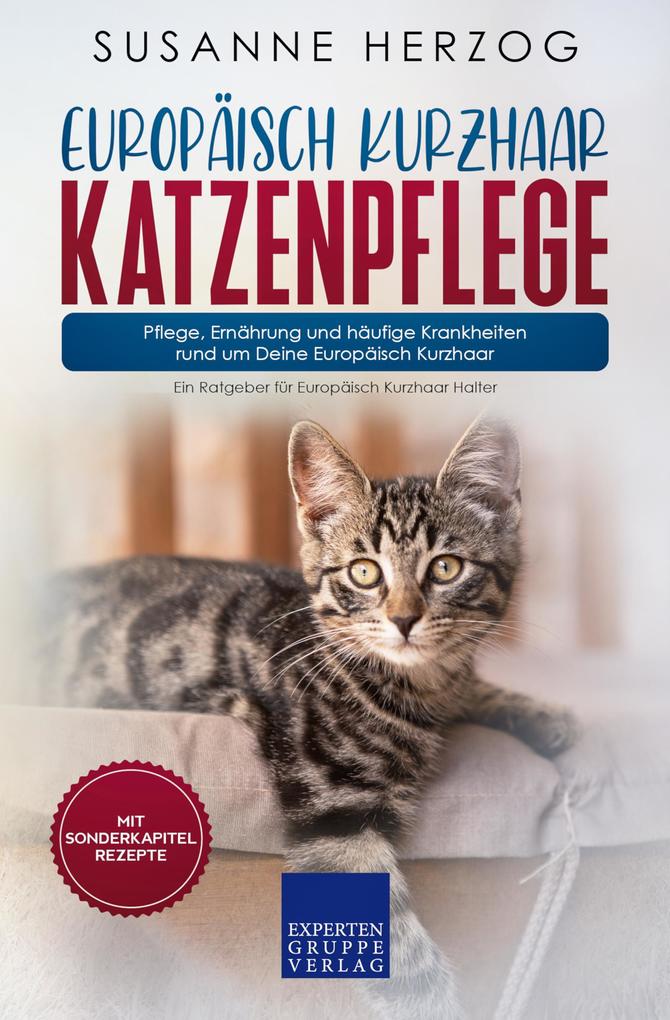 Europäisch Kurzhaar Katzenpflege - Pflege Ernährung und häufige Krankheiten rund um Deine Europäisch Kurzhaar